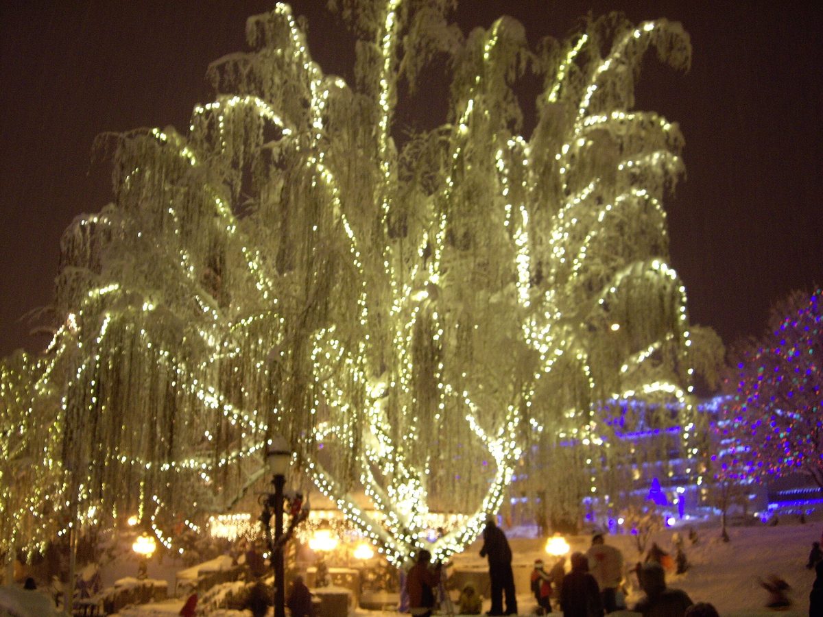 The lit tree at night during Leavenworth's Village of Lights in Washington state